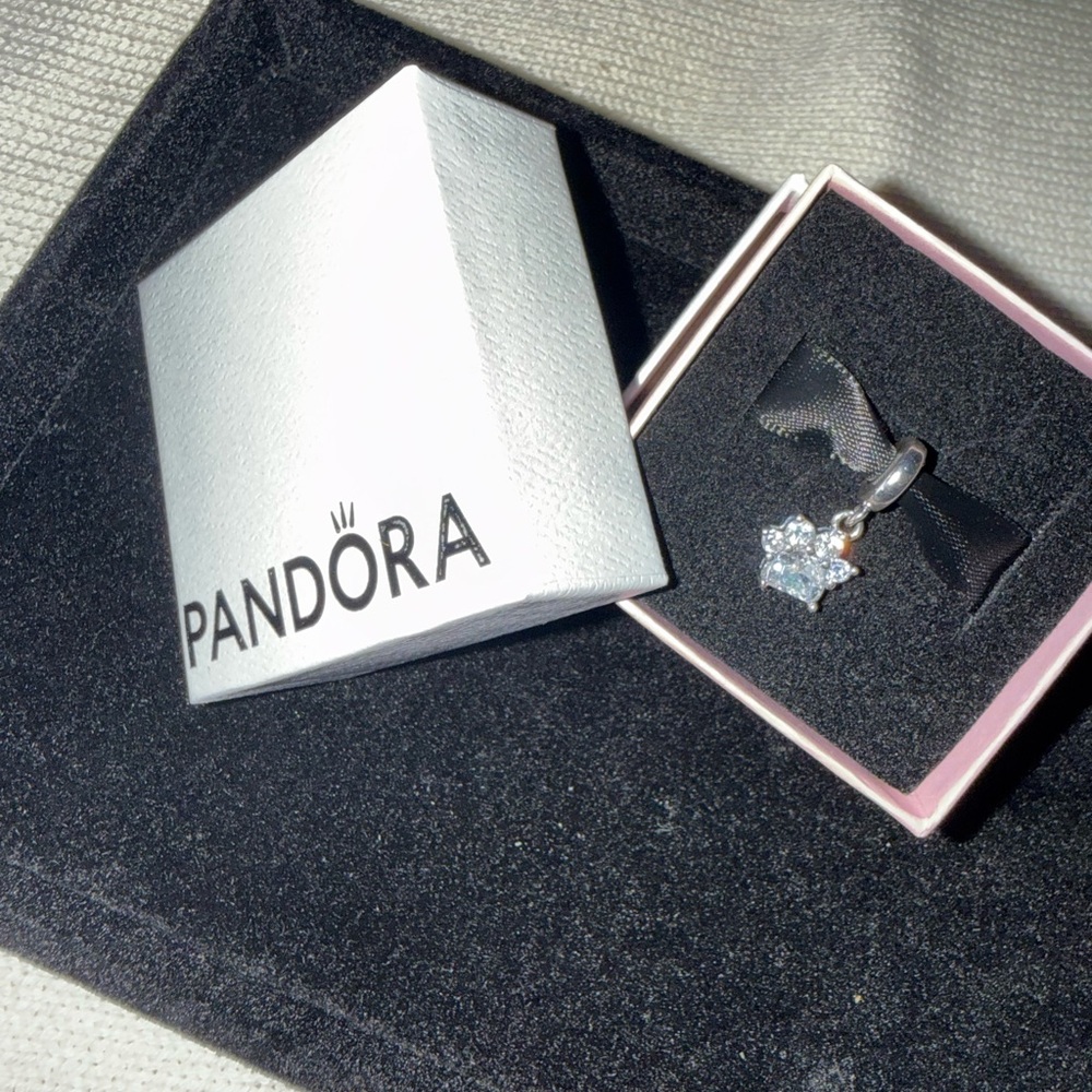 Sparkling Pet Paw Print Dangle Charm